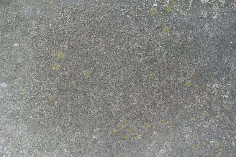 Cement Staining in Frisco, TX
