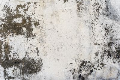 Concrete Tinting in Dallas, TX