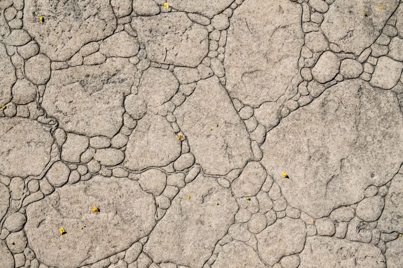 Decorative Concrete Repair in San Antonio, TX